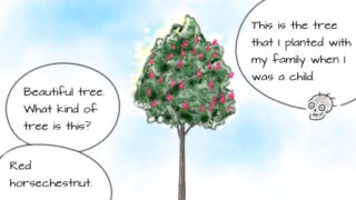 中3英語 Lesson60 関係代名詞のwhoを使った例文 中学英語をブラッシュアップ 大人のための英活ブログ 中3英語 Lesson60 関係代名詞のwhoを使った例文 中学英語をブラッシュアップ 大人のための英活ブログ